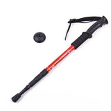 ENERGIA  Aluminium Alloy Telescopic Walking Sticks